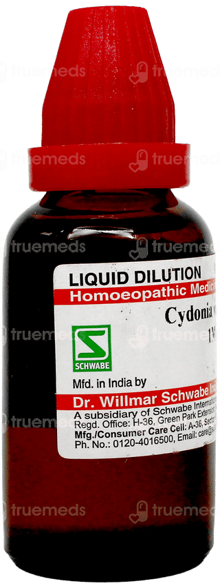 Dr Willmar Schwabe Cydonia Vulgaris 1M Dilution 30Ml